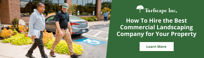 How to Hire The Best Commercial Landscaping Company