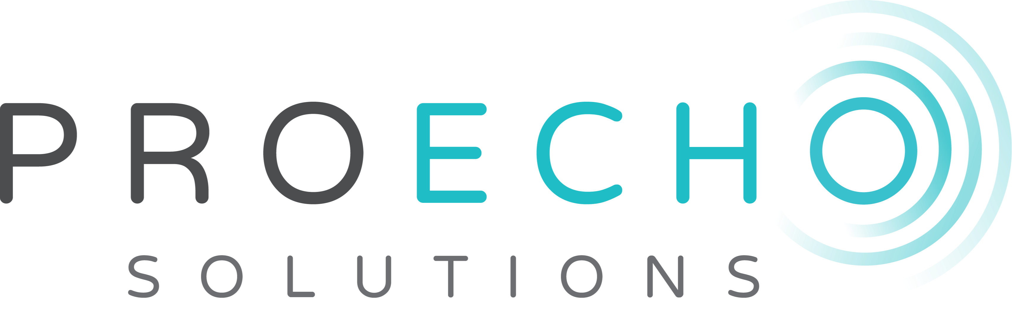 Proecho Solutions