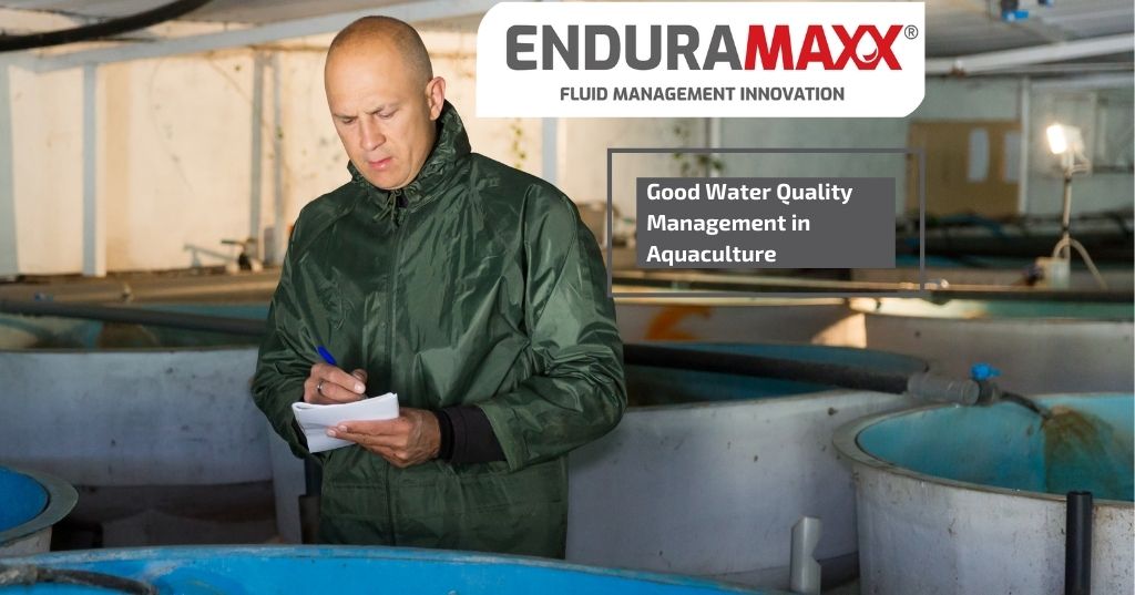 Enduramaxx-Good-Water-Quality-Management-in-Aquaculture