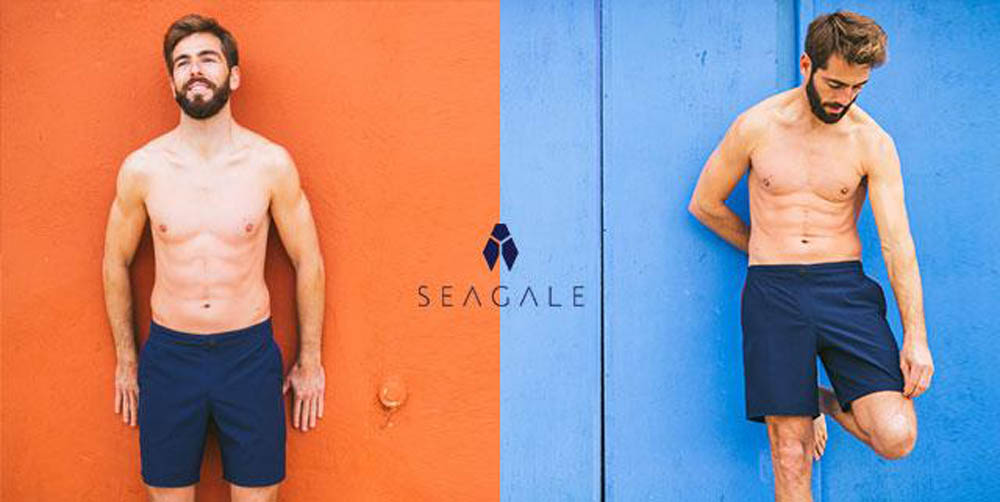 Seagale-kickstarter