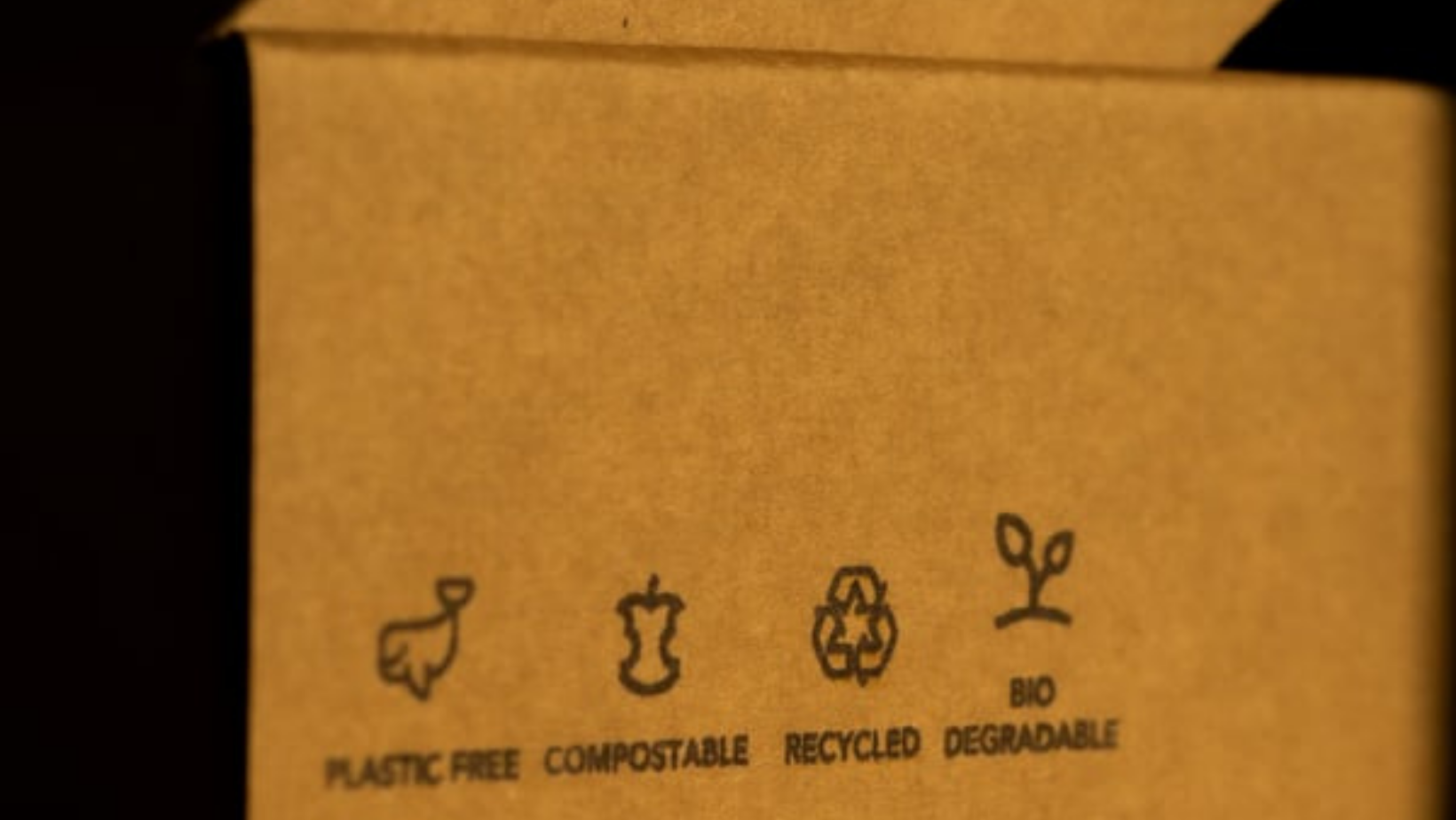 Benefícios da embalagem ecológica para entrega e take away