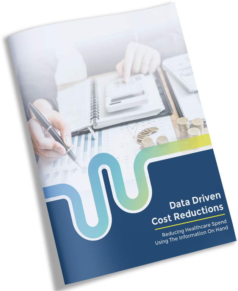 Ebook: Data Driven Cost Reductions
