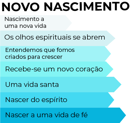 novo nascimento