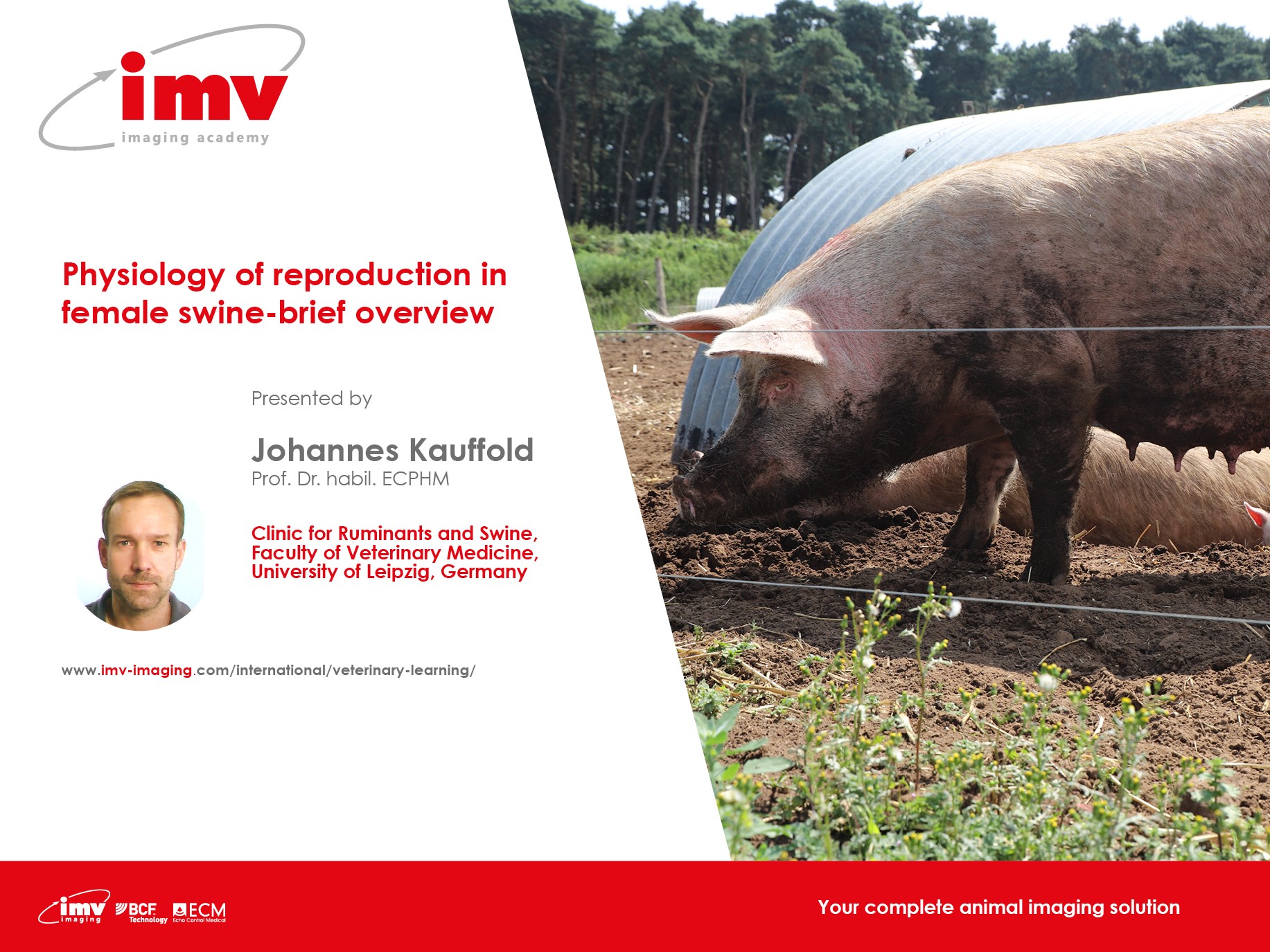 Webinar: Physiology of reproduction in female swine