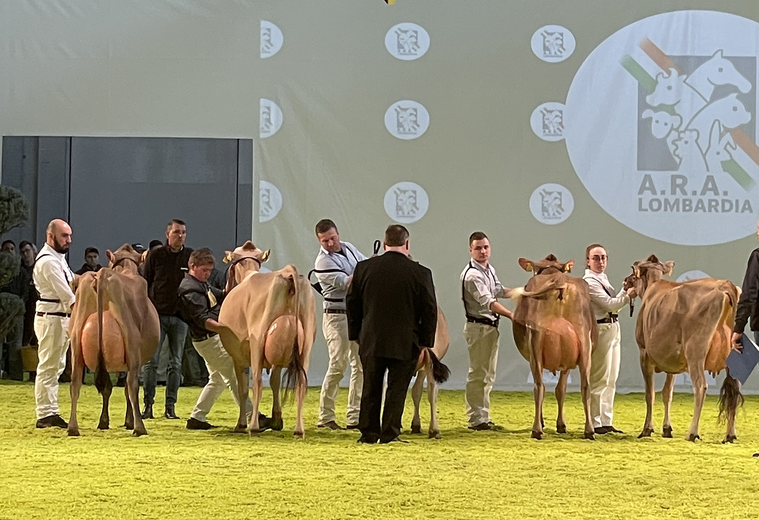 DAIRY SHOW 2022 AT FIERAGRICOLA INTERNATIONAL AGRICULTURAL TRADE SHOW