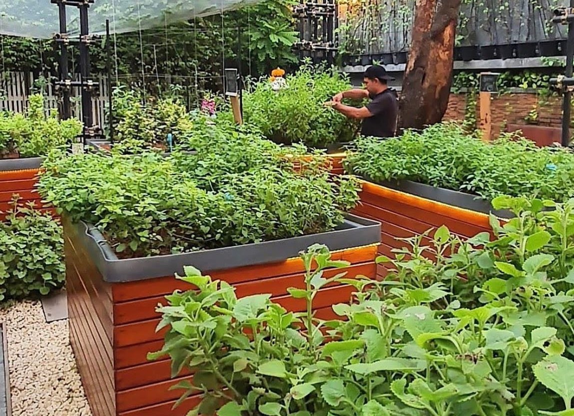 Haoma’s urban farm