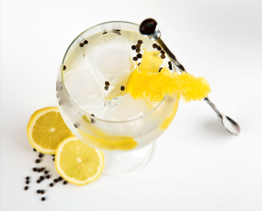 A glass of gin-based drink with lemon wedges.